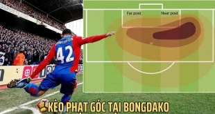 Cập Nhật Chi Tiết Về Kèo Góc Bongdako Mới Nhất 2025