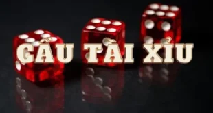 Chiến thuật bắt cầu tài xỉu hiệu quả mang lại nhiều tiền nhất Tài xỉu MD5