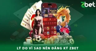 Đăng Nhập ZBET: Hướng Dẫn Chi Tiết và Các Vấn Đề Thường Gặp