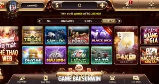 Game Bài Sunwin - Đổi Thưởng Không Giới Hạn Ngay Tại Nhà