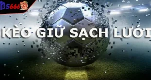 Kèo giữ sạch lưới - Tìm hiểu cách chơi và kinh nghiệm cược