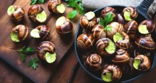 Nằm mơ thấy bắt ốc dưới nước đánh con gì? - Khám phá ý nghĩa và vận may