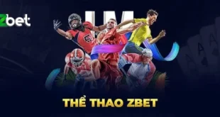 Khám phá sân chơi thể thao Zbet sôi động cho anh em đam mê
