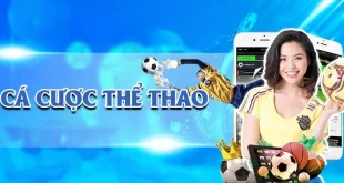 Bongvip - Thương Hiệu Cá Cược Đứng Đầu Thị Trường Châu Á
