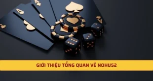 Nohu52 - Cổng Game Siêu Hot Với Sản Phẩm Giải Trí Chất Lượng