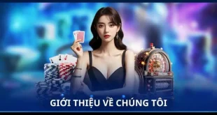 Bongvip - Nhà Cái Thể Thao Xanh Chín Hàng Đầu Tại Châu Á