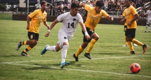 3 Bí Quyết Soi Tỷ Lệ Cá Cược Chuẩn Xác Từng Giây [Gợi Ý]