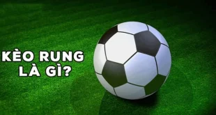 Kèo Rung -  Tìm Hiểu Chi Tiết Và Cách Tham Gia Đặt Cược