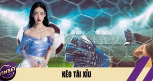 Kèo Tài Xỉu Và Cách Phân Tích Tỷ Lệ Trước Khi Đặt Cược