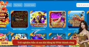 SV66 hướng dẫn – Đơn giản hơn chọn món ăn sáng