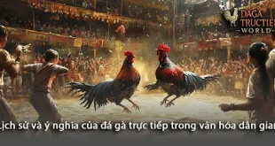 Đá gà trực tiếp - Trải nghiệm đậm chất truyền thống và hiện đại kết hợp