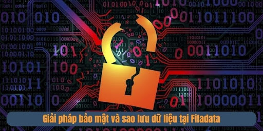 Tìm hiểu về hệ thống máy chủ và đội ngũ IT hàng đầu tại Fifadata.com