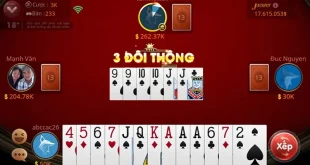 Các thuật ngữ trong Tiến Lên Miền Nam