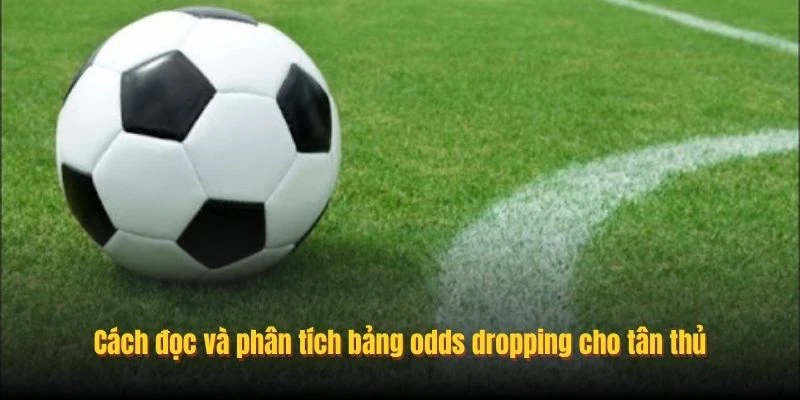 Cách đọc và phân tích bảng odds dropping cho tân thủ