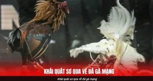 Bí kíp bắt nhịp trận đá gà GA6789 theo nhịp trống và thế chủ động