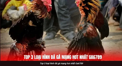 Bí kíp bắt nhịp trận đá gà GA6789 theo nhịp trống và thế chủ động