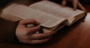 Sách Tiểu Thuyết Khám Phá Thế Giới Câu Chuyện Và Cảm Xúc