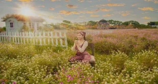 Ảnh Kỷ Niệm - Hành Trình Lưu Giữ Khoảnh Khắc Đáng Nhớ