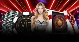 Hướng Dẫn Đăng Ký k9k9 Siêu Tốc, Đảm Bảo Thành Công