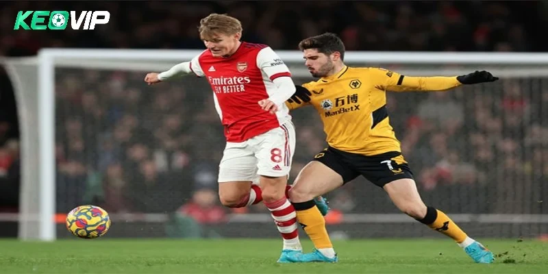 Kèo Nhà Cái Hôm Nay Với Nhiều Lựa Chọn Và Tỷ Lệ Hấp Dẫn Nhất