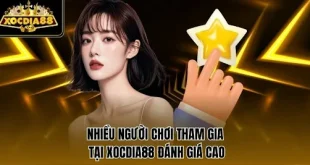 TAIXOCDIA88 cho tân thủ: cách đặt cược đúng nhịp, đọc kết quả dễ hiểu