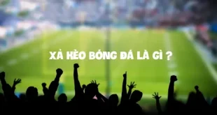 Xả Kèo Là Gì? Giải Thích Chi Tiết Và Cách Sử Dụng Hiệu Quả Trong Cá Cược 