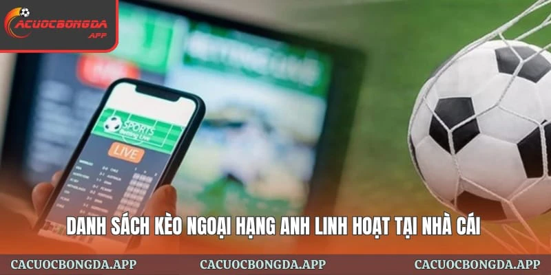 Giải Đấu Ngoại hạng Anh Sôi Động Tại Trang Cá Cược Bóng Đá