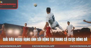 Giải Đấu Ngoại hạng Anh Sôi Động Tại Trang Cá Cược Bóng Đá