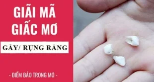 Giải mã giấc mơ: Rụng răng - Điềm báo hay lời nhắc nhở?