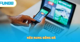 Kèo Rung Bóng Đá Và Những Thông Tin Cần Nhớ Khi Đặt Cược 