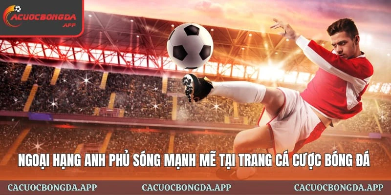 Giải Đấu Ngoại hạng Anh Sôi Động Tại Trang Cá Cược Bóng Đá