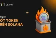 Hướng dẫn đốt token trên Solana chi tiết từ A - Z