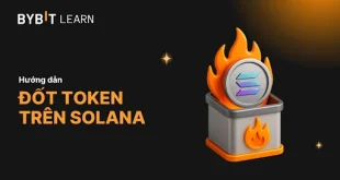 Hướng dẫn đốt token trên Solana chi tiết từ A - Z