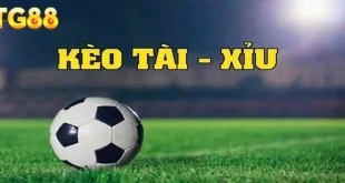Kèo tài xỉu TG88 – Đọc nhịp trận để đưa ra lựa chọn hợp lý