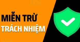Miễn Trừ Trách Nhiệm Minh Bạch Giúp Hiểu Rõ Giới Hạn
