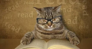 Thủ Thuật Học Tốt – Nâng Cao Hiệu Quả Tiếp Thu Kiến Thức Mỗi Ngày