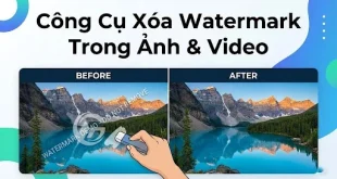 Top 4 Công Cụ Xóa Watermark Trong Ảnh & Video Tốt Nhất