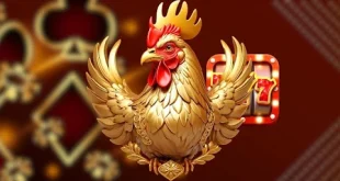 Đá gà Rikbet – Trải nghiệm giải trí trực tuyến sống động