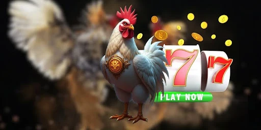 Đá gà Rikbet – Trải nghiệm giải trí trực tuyến sống động