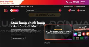 Giải Pháp Đồng Bộ Brand Kit Cùng Woku Shop Năm 2026