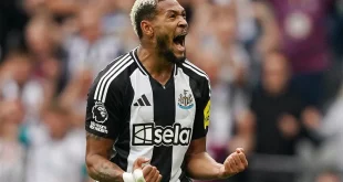 Joelinton là ai? Sự nghiệp và danh hiệu