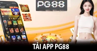 Tải App PG88 - Hướng Dẫn Cài Đặt Ứng Dụng Cá Cược An Toàn