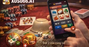 Kinh nghiệm chơi bầu cua Xoso66 không hụt vốn