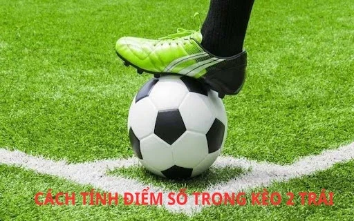 Kèo Tài Xỉu 2 Trái - Hướng Dẫn Chi Tiết Cho Người Mới Bắt Đầu