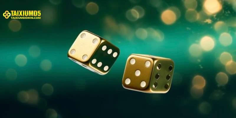Taixiumd5 - Minh Bạch Hệ Thống Giải Trí Trực Tuyến Công Khai