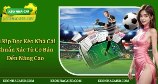 Bí Kíp Đọc Kèo Nhà Cái Chuẩn Xác Từ Cơ Bản Đến Nâng Cao