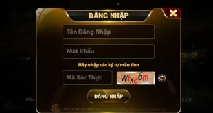 Đăng nhập Vip88 cần sử dụng chính xác thông tin tài khoản