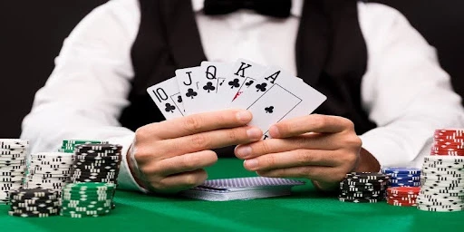 Các vòng bài giúp người mới nhận biết diễn biến