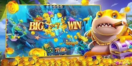 Nhà Cái RR88 - Thương Hiệu Đỏ Đen Uy Tín, Chất Lượng
